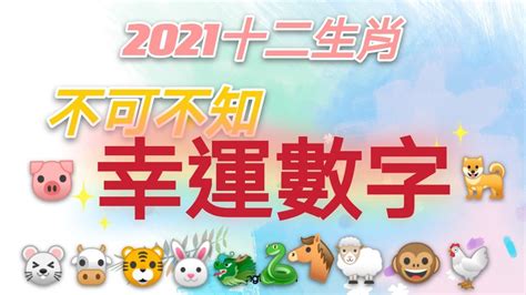 生肖本命色|十二生肖「幸運數字、幸運顏色、大吉方位」！跟著做。